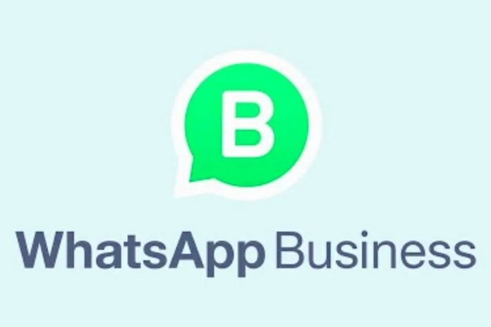 Store Catalog Can Be Inserted Into WhatsApp Business