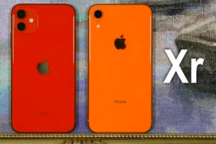 iPhone XR vs. iPhone 11: Which Is The Best Option To Buy?
